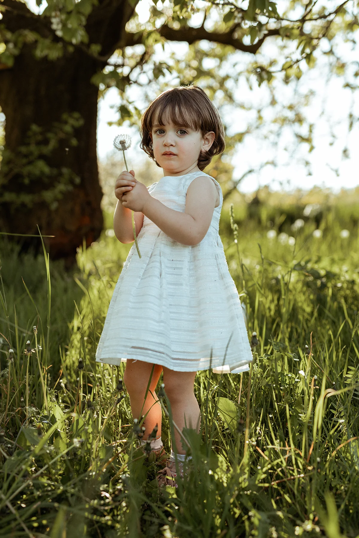 Bambina con un fiore in mano in un prato durante un servizio fotografico