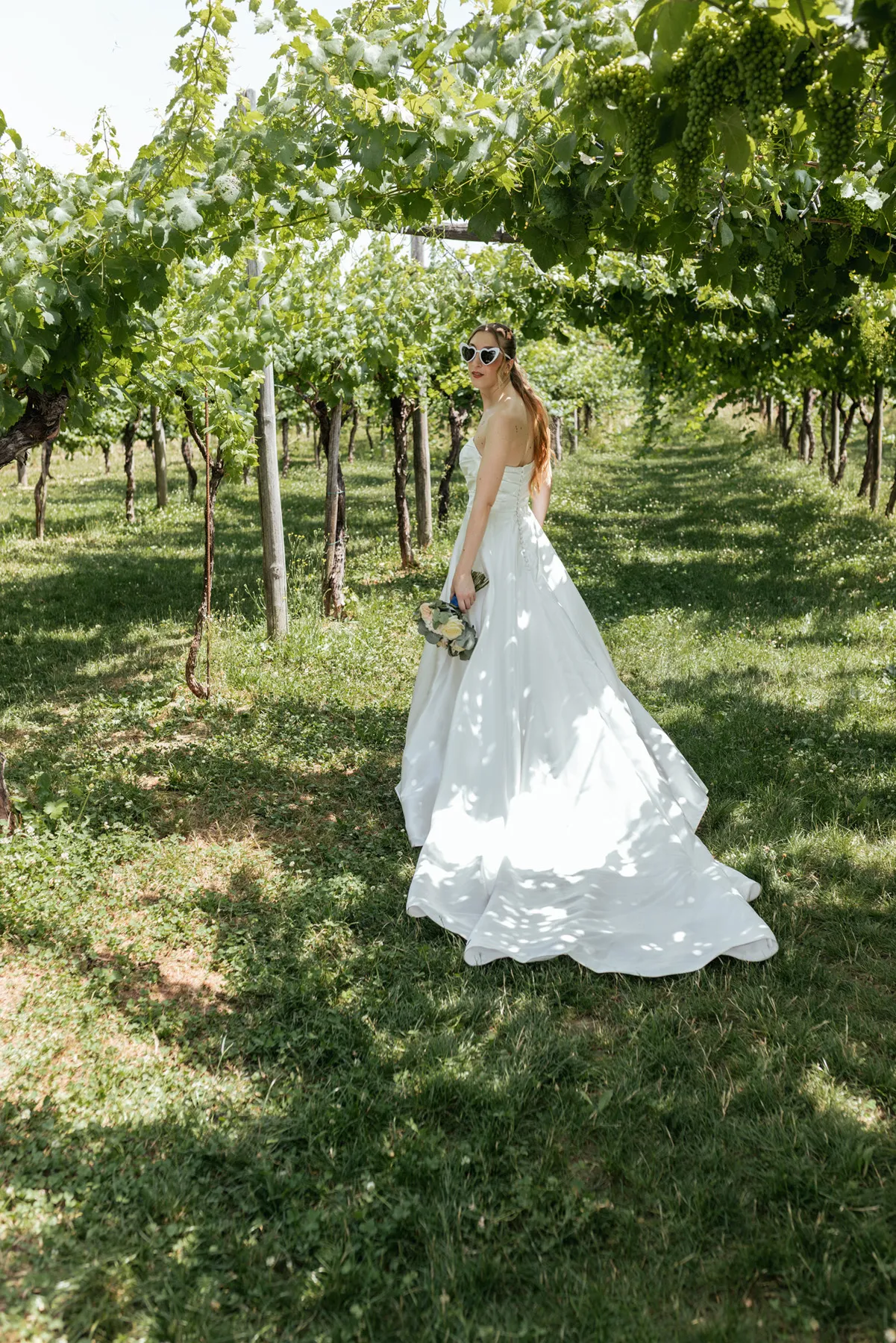 La sposa tra i filari Sposa in abito bianco che cammina tra i filari del vigneto